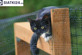 Siatki Pyskowice - Dobra siatka balkonowa - na ptaki i dla kota dla terenów Pyskowic
