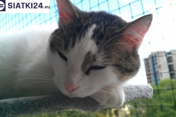 Siatki Pyskowice - Siatka na balkony dla kota i zabezpieczenie dzieci dla terenów Pyskowic